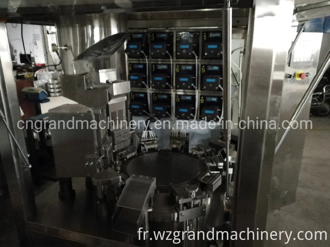 Machine de remplissage de gélatine de poudre liquide automatique de poudre de poudre et machine d'emballage NJP-260